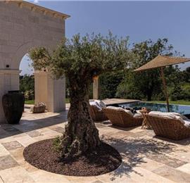  4 Bedroom Villa with Infinity Pool near Rovinj, Istria, Sleeps 8